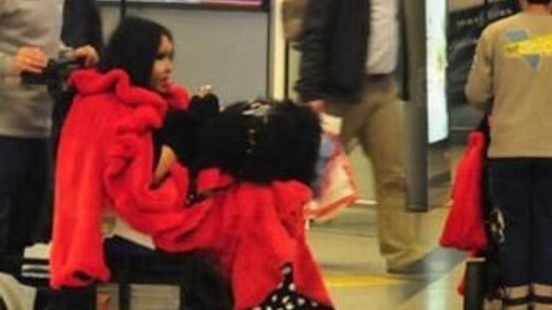 Bülent Ersoy, uçağını kaçırdı