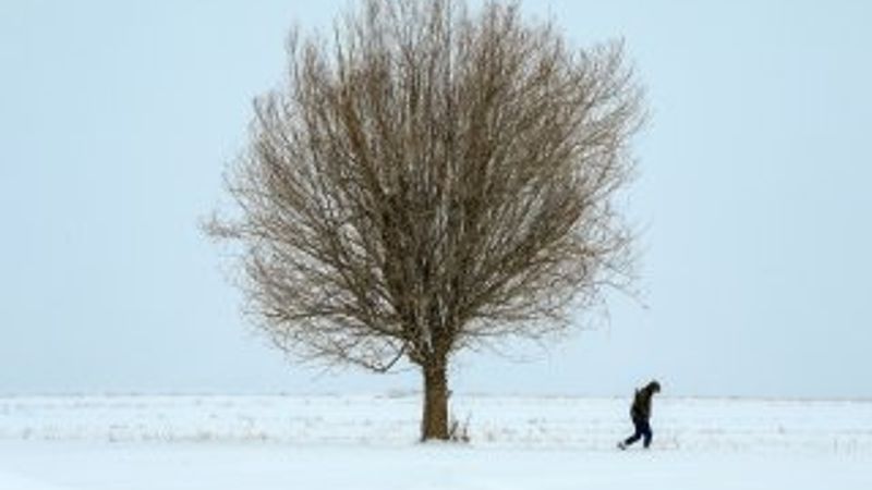 Kar yağışı ve soğuk Doğu'da etkili oluyor