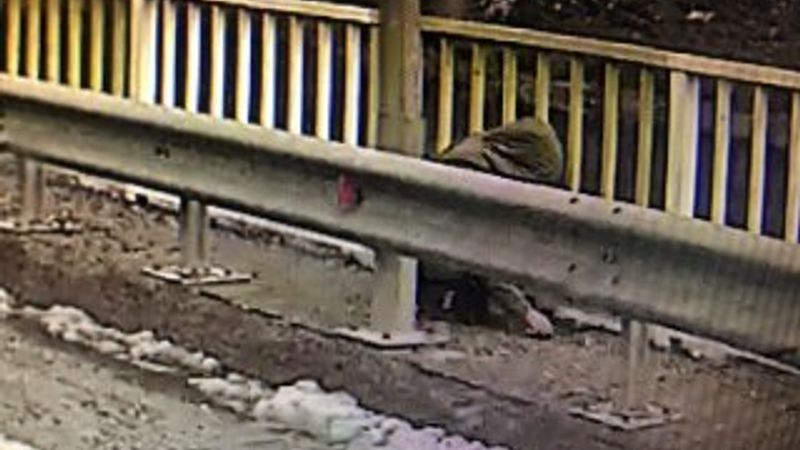 Kayıp Gülistan’ın köprüde görüntüsü çıktı