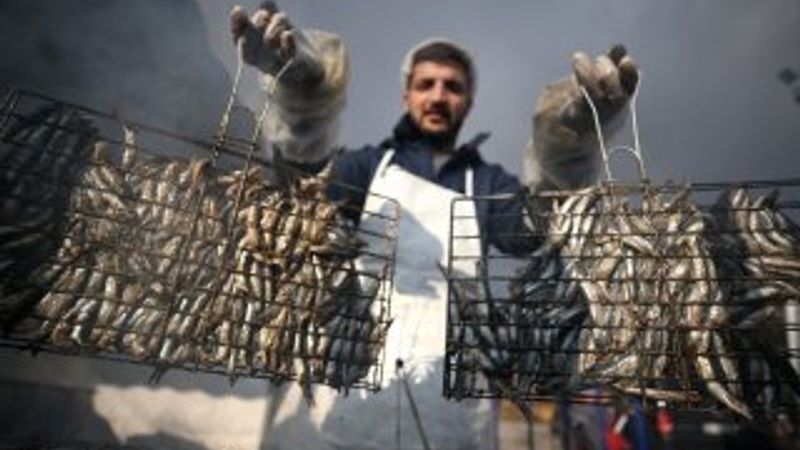 Düzce'de hamsi festivali