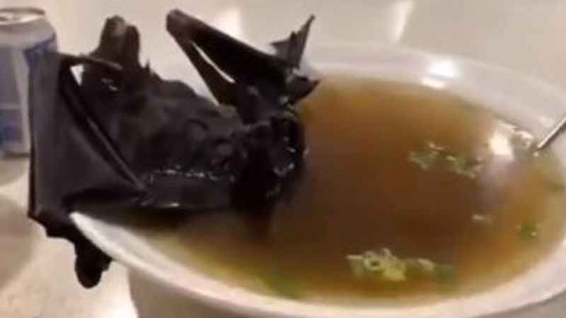 Çin'de ortaya çıkan virüste şüpheli: Yarasalar