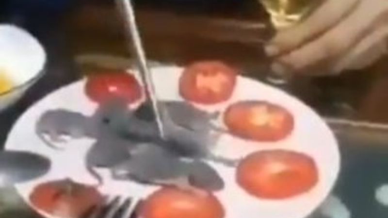 Çinlilerin yediği mide bulandırıcı yemekler