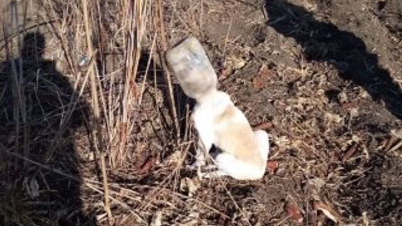 Başını bidona sıkıştıran köpeği itfaiye kurtardı