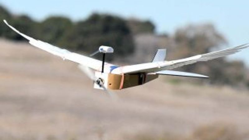 Gerçek güvercin tüylerine sahip uçan robot