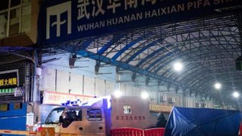 Çin'den koronavirüsün kaynağına ilişkin açıklama