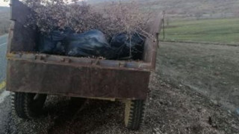 Traktör römorkunda 250 kilo esrar ele geçirildi