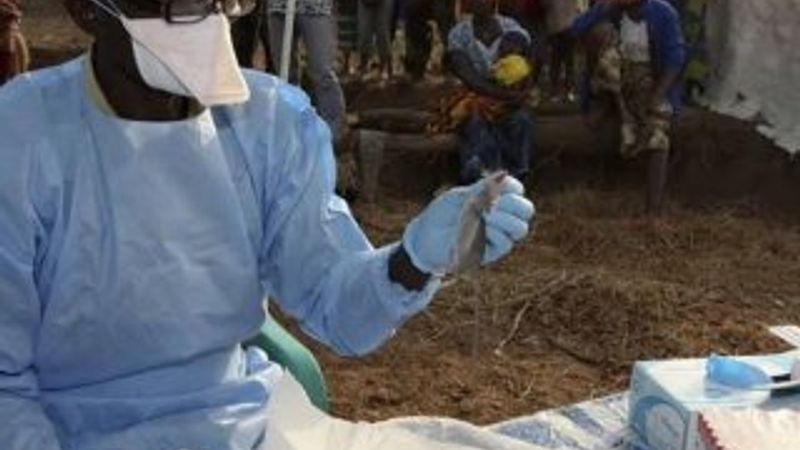 Nijerya'nın uğraştığı hastalık: Lassa ateşi