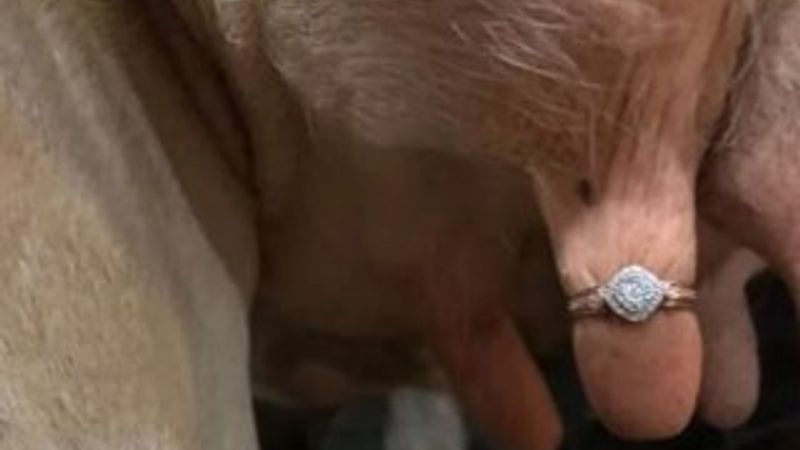 Çiftçiden tepki çeken evlilik teklifi