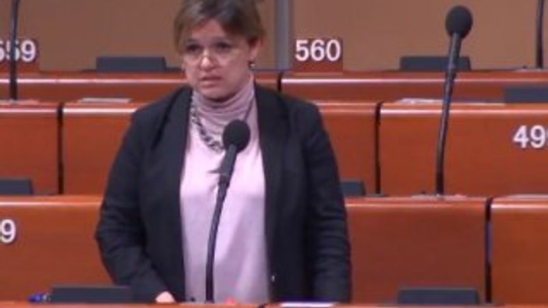 Selin Sayek Böke, Strazburg'da Türkiye'yi şikayet etti