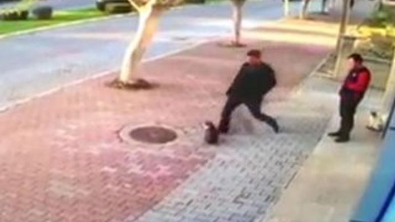 Marketin önündeki kedilere tekme attı