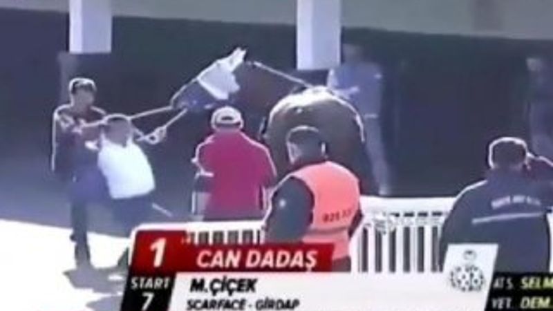 Hipodromda ata şiddet uygulayan şahsa ceza verildi