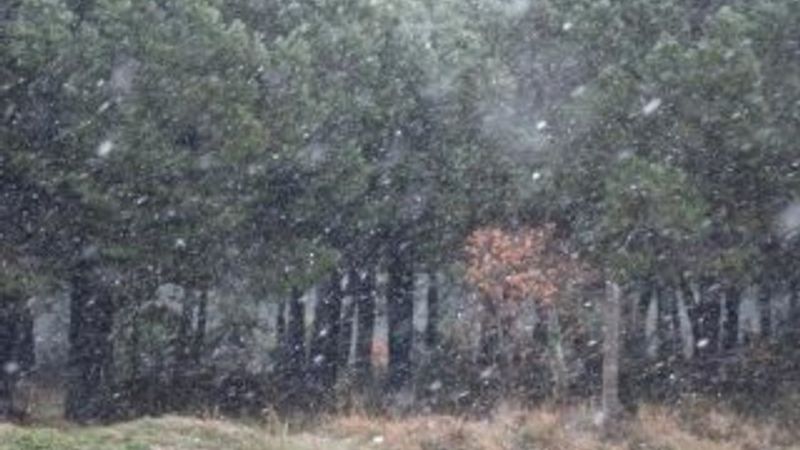 İstanbul'da kar yağışı başladı