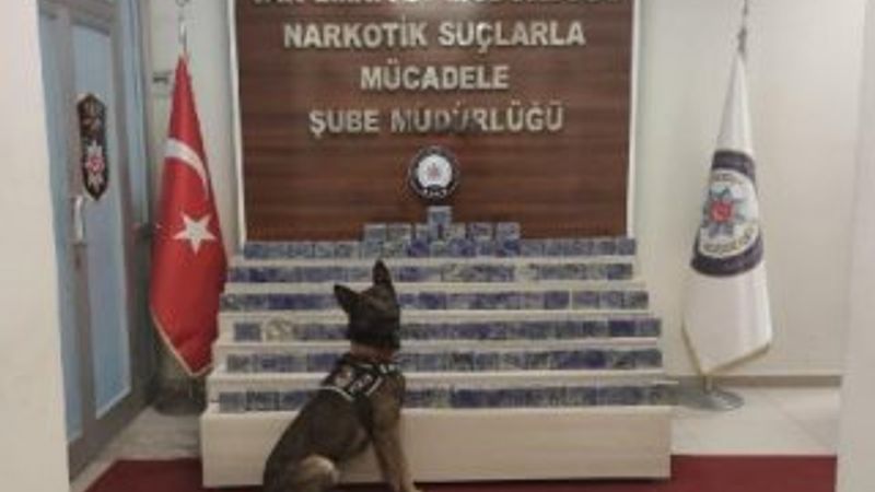 Kamyonetteki 54 kilo eroini 'Rexo' buldu