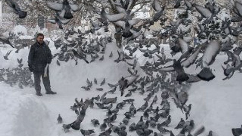 30 yıldır binlerce kuşa evladı gibi bakıyor