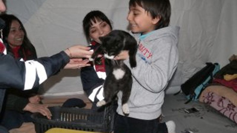 Depremde kedisini kaybeden minik Muhammed'e sürpriz