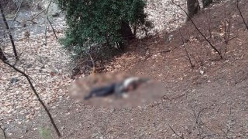 Adana'da kumalığı kabul etmeyen kadın öldürüldü