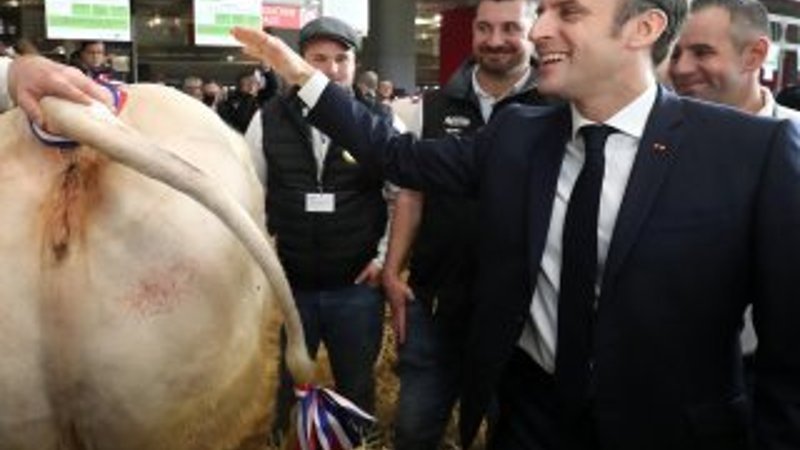 Macron, hayvanların kalitesini kontrol etti