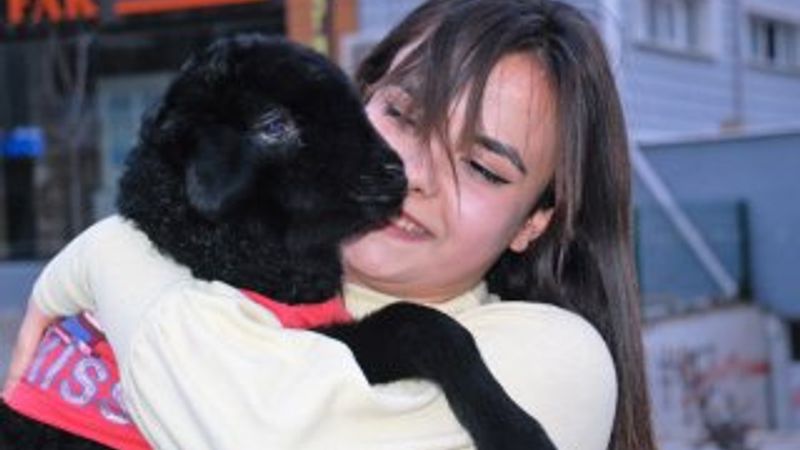 Annesinin reddettiği kuzuyu sahiplendi