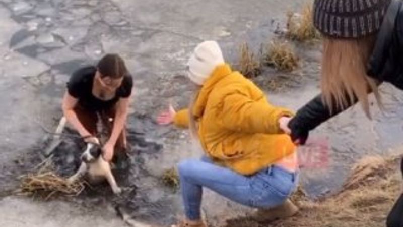 Rus kadın buzları kırarak köpeği kurtardı