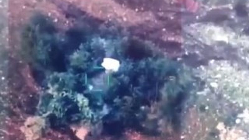 Kamufle olmaya çalışan rejim tankı vuruldu