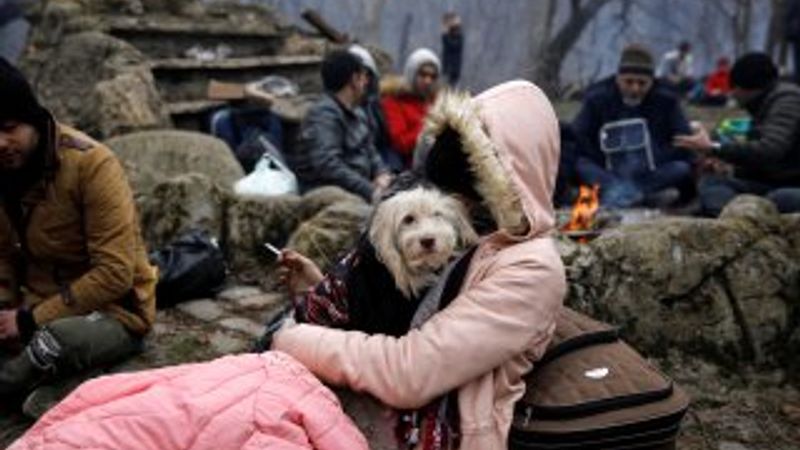 Köpeğiyle Avrupa'ya geçmeye çalışan göçmen