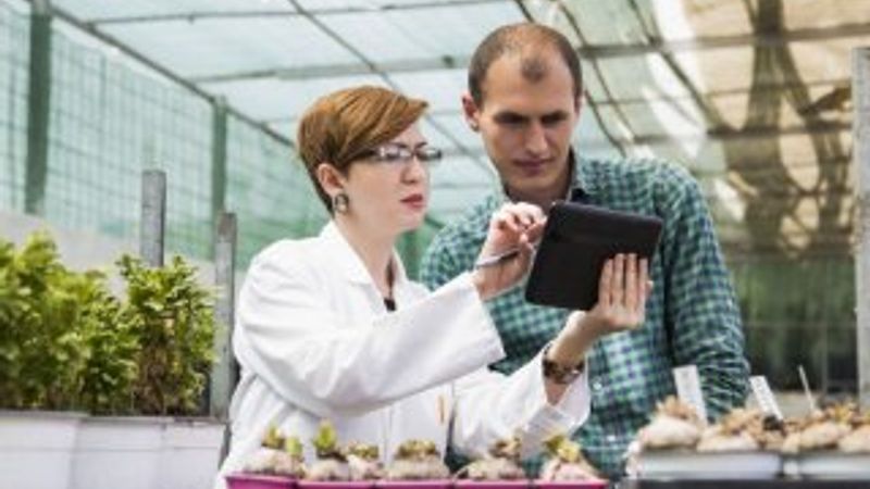 BM: Dünya nüfusunun yüzde 90'ı kadınlara karşı ön yargılı