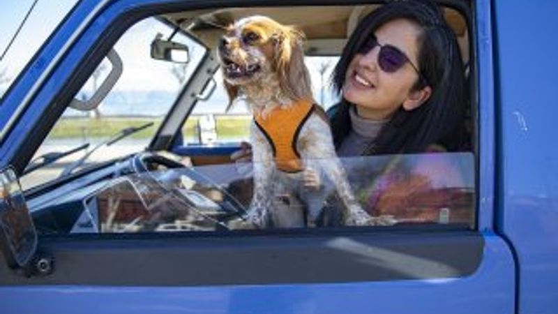 Karavan-minibüsüyle hayalindeki Türkiye gezisini yaşıyor