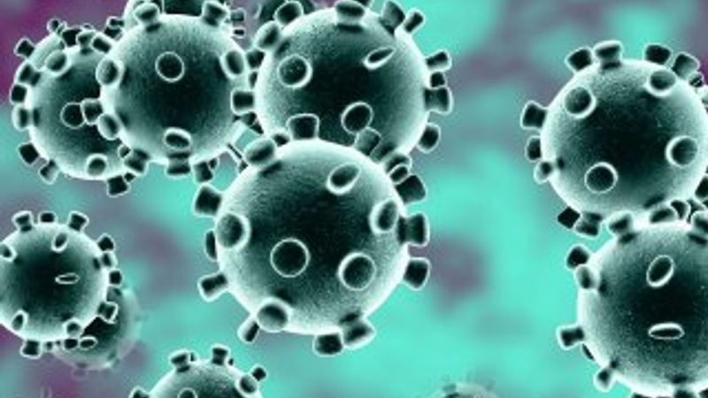 Koronavirüsün hangi yüzeylerde yaşayabildiği belli oldu