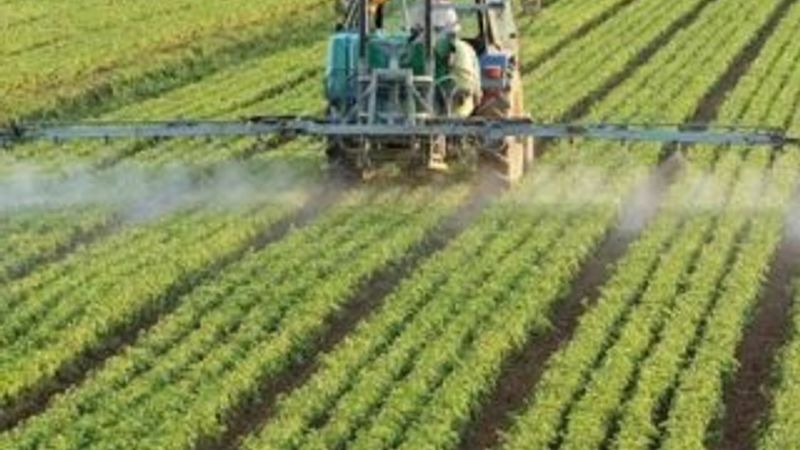 Üreticilere yaklaşık 1.6 milyar liralık tarımsal destek