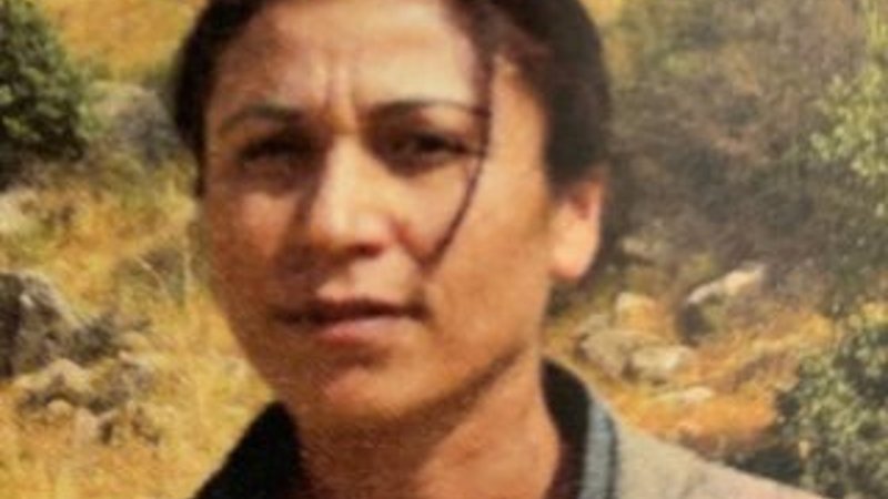 Terörist Halide Tarı öldürüldü