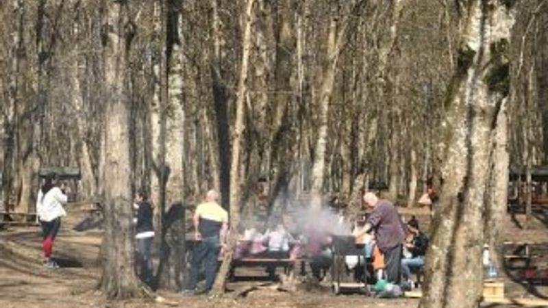 Belgrad Ormanı'nda yasağa rağmen mangala devam
