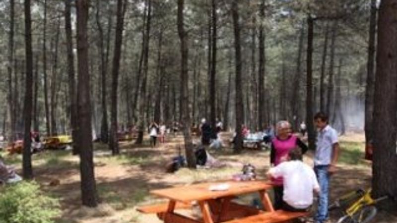 Tarım ve Orman Bakanlığı'ndan mangal yasağı