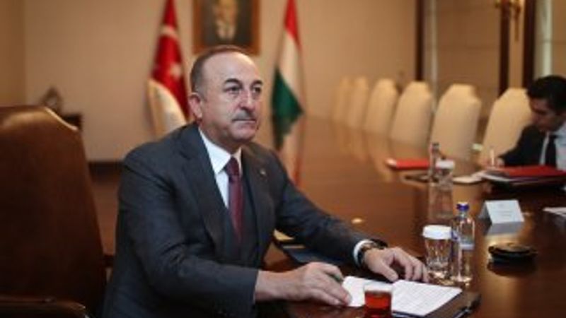 7 ülkeden 3 bin 358 öğrenci Türkiye'ye getirilecek