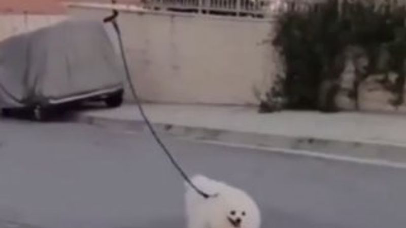 Karantinayı bozmamak için köpeğini drone ile gezdirdi