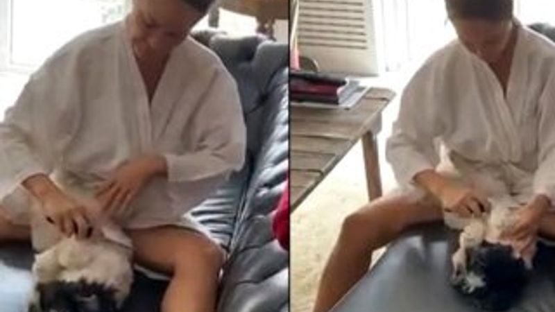 Hülya Avşar, evinden video paylaştı