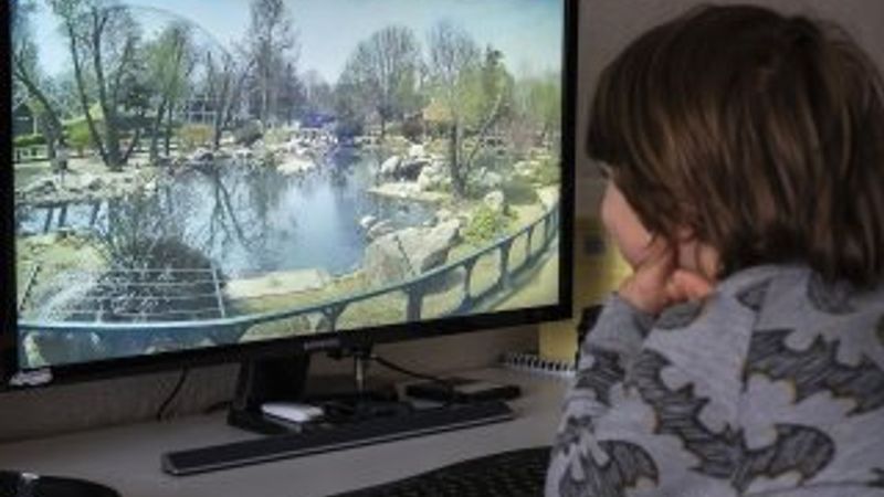 Bursa Hayvanat Bahçesi’ne canlı bağlantı