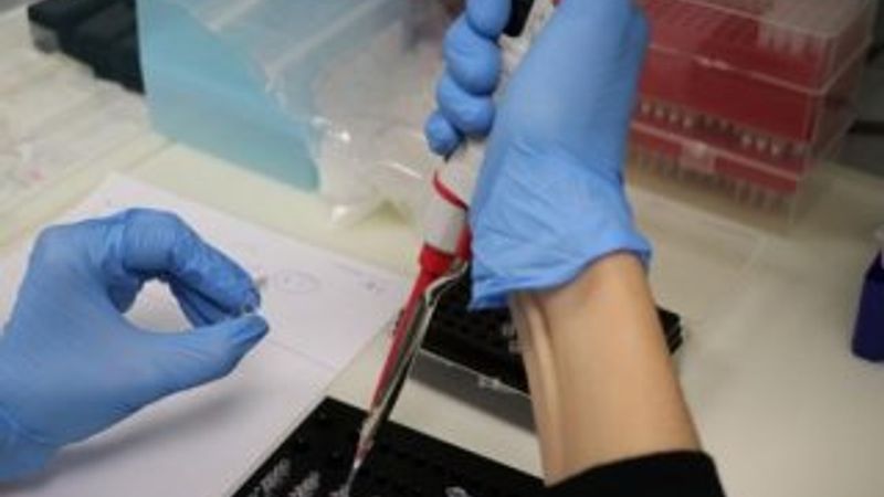 Çinli üreticiler hatalı testler için alıcıyı suçladı