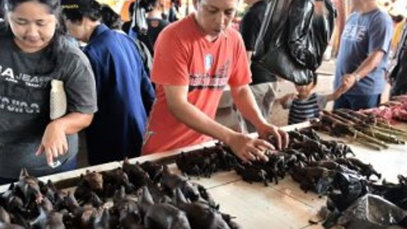 Çin'de vahşi hayvan pazarları yeniden kuruldu