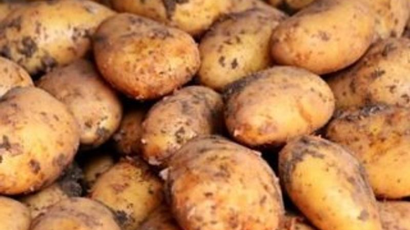 Patates, limon ve sarımsakta fiyat artışı