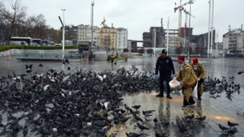 Sokaklarda yalnız kalan hayvanlar unutulmadı