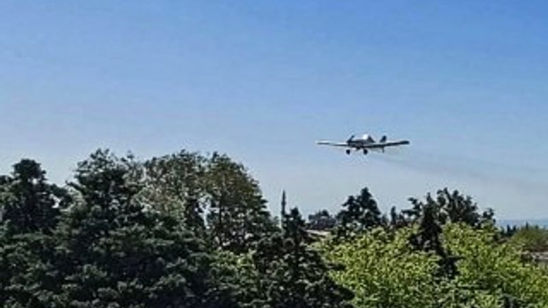 Hatay'da havadan dezenfektan sıkıldı