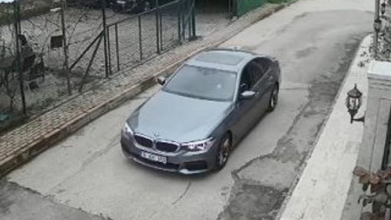 Sokak köpeklerine silahla ateş açtı, birini öldürdü