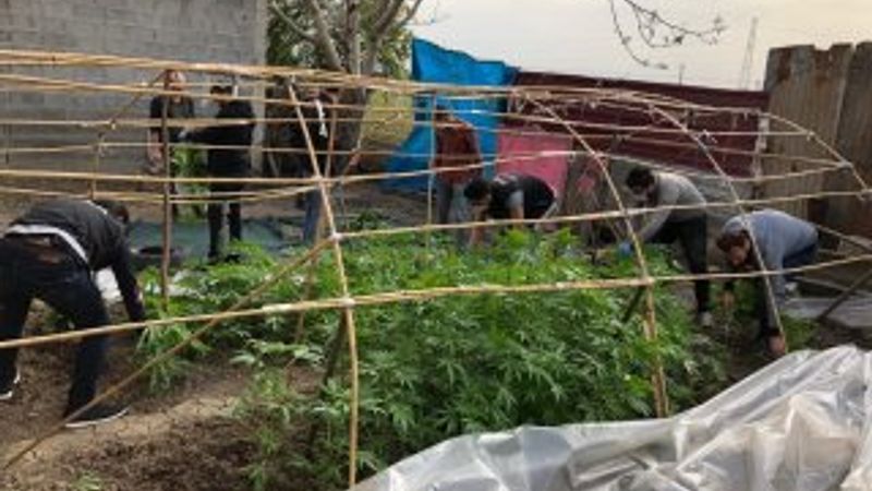 Hint keneviri serası kuran zanlıdan korona savunması