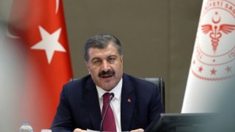 Koronavirüsten can kaybı 1006'ya yükseldi