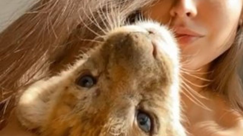 İranlı mankenin rezidansında yavru aslan ve piton çıktı