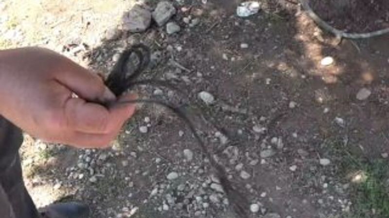 Antalya’da 10 yaşındaki kız çocuğu ölü bulundu