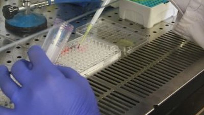 Koronavirüsün gen haritası çıkarıldı