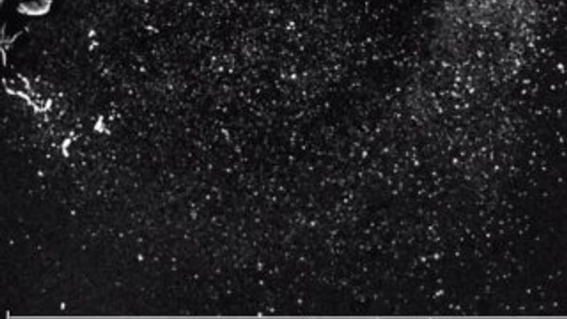 Sosyal mesafe için 2 metre yeterli değil