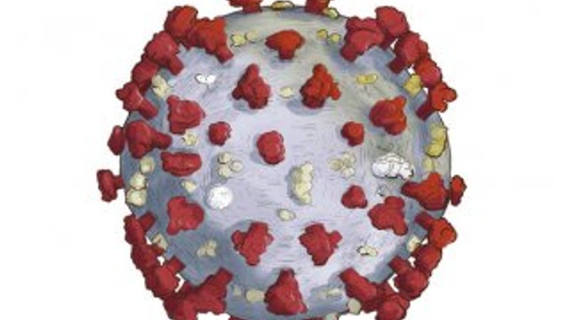 Çin ile ABD arasında koronavirüs gerilimi