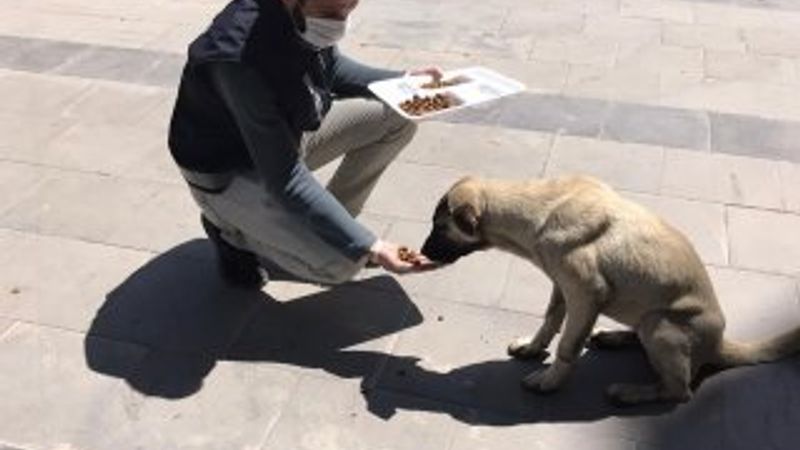 Nusaybin polisi sokak hayvanlarını unutmadı